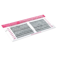 Plateau de cils pour extension CEPA13