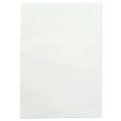 collagène // feuille EV040