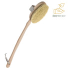brosse corps en bois manche amovible