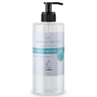 Gel désinfectant hydroalcoolique 1000ml GELHYDRO1P