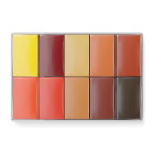 Palette 5 anticerne 15ml peaux foncées MPPALACPN