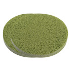 Eponges spa larges vertes